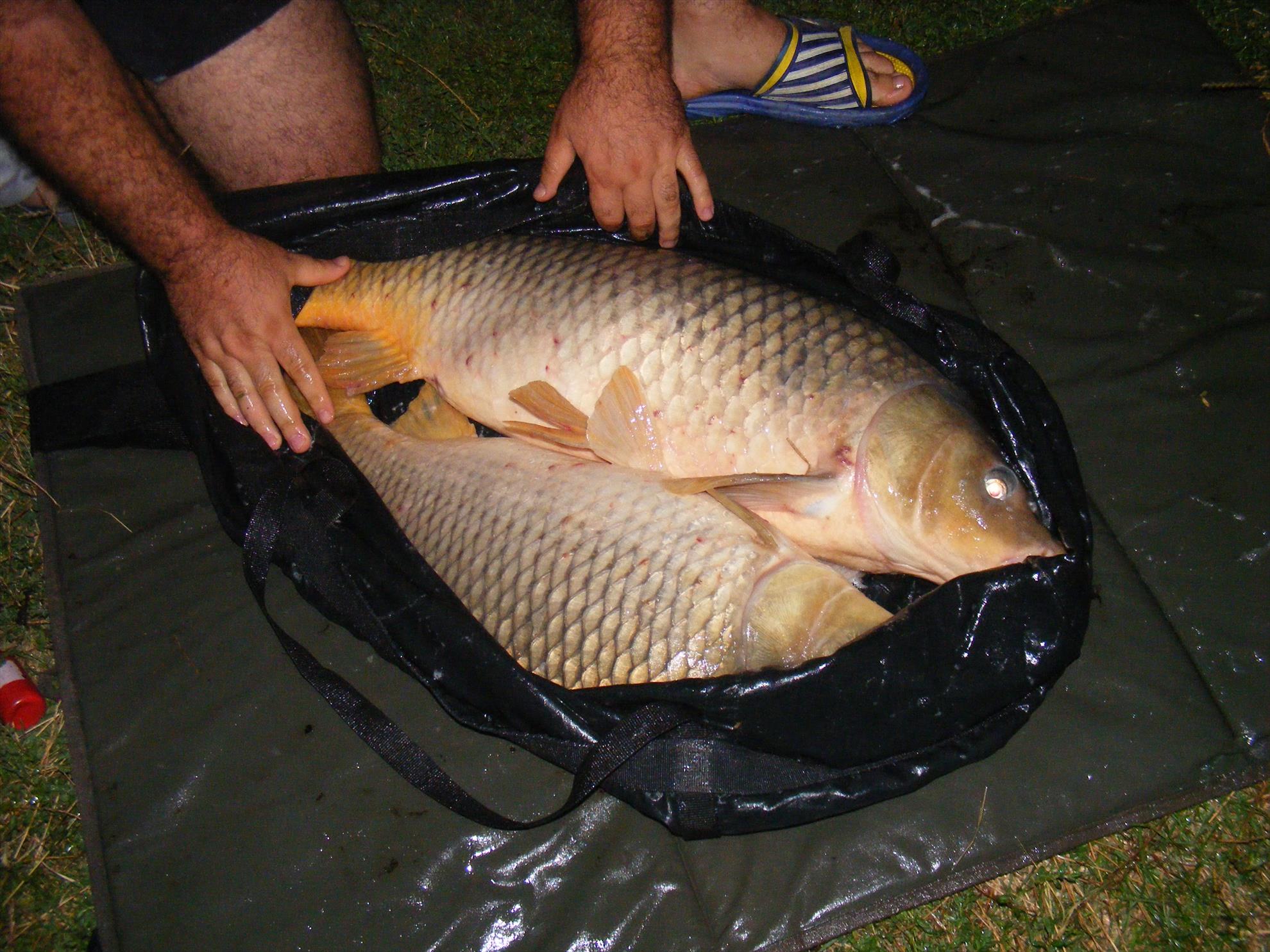 Moara Vlasiei-Dream place! - dscf1962.JPG